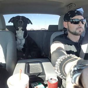 Meet your Posher, Morgan